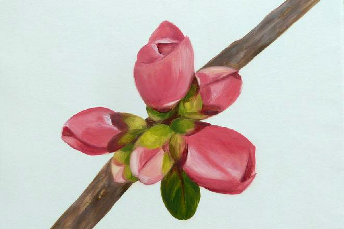 Fleurs